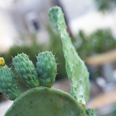 Il Giardino Delle Margherite Лечче Екстер'єр фото