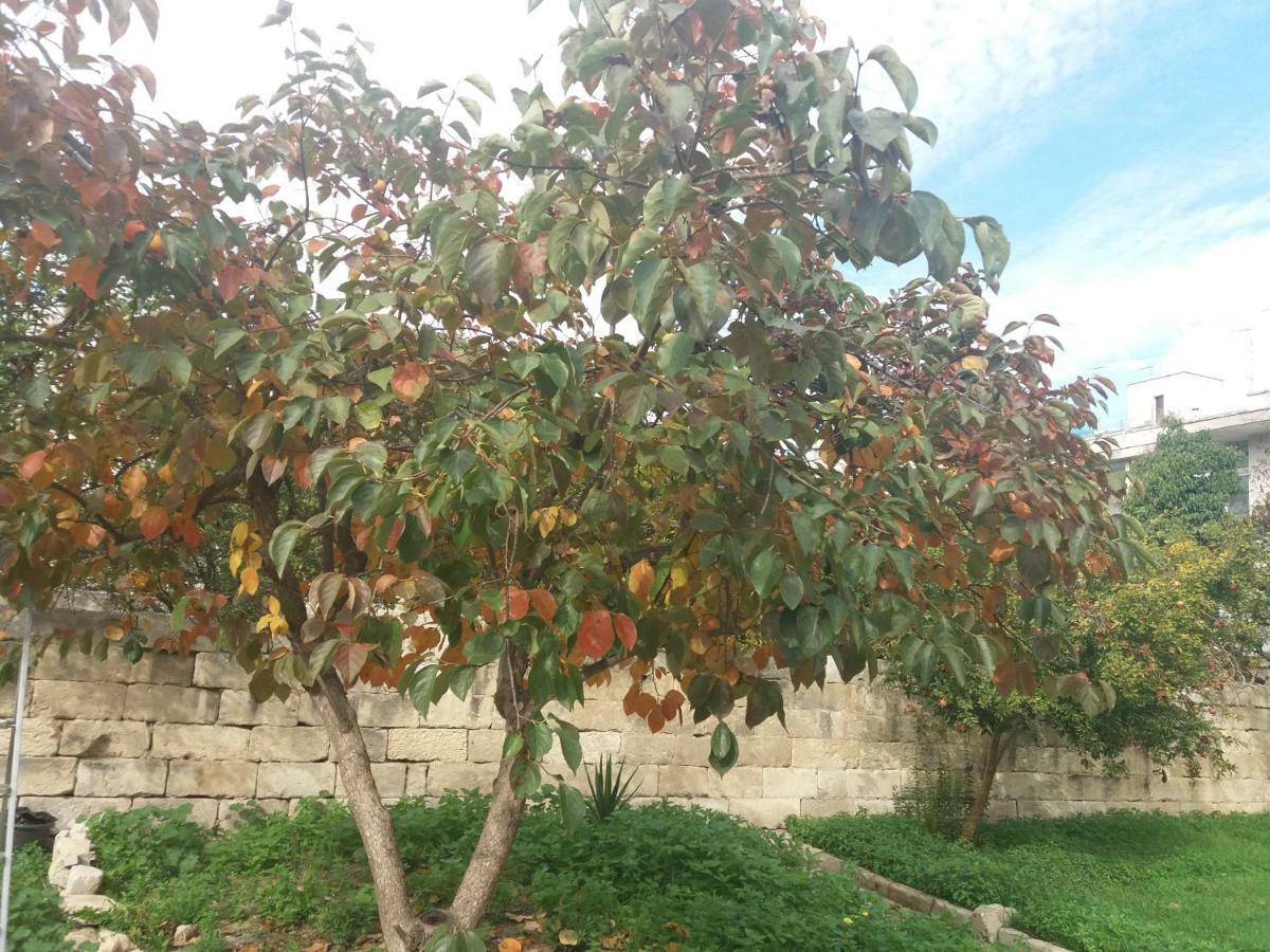 Il Giardino Delle Margherite Лечче Екстер'єр фото
